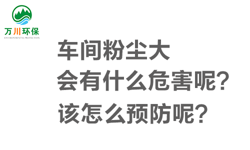 車間粉塵大會(huì)有什么危害呢？該怎么預(yù)防呢？